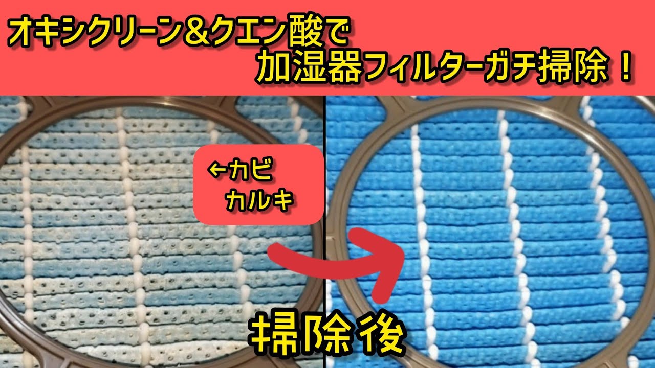 【フィルター掃除ガチ勢②】4分で覚える加湿器フィルターの再生方法❢