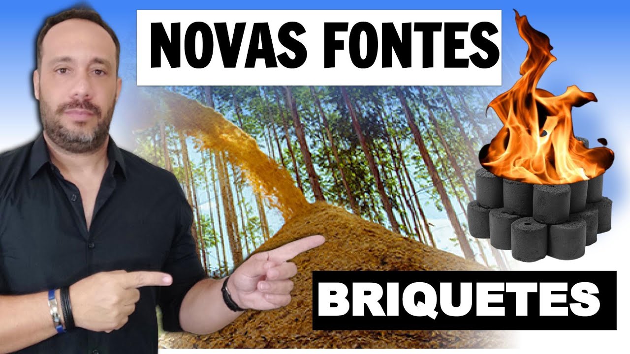 Briquete de Carvão: As 13 Melhores Biomassas Para Se Fazer Briquete de Carvão