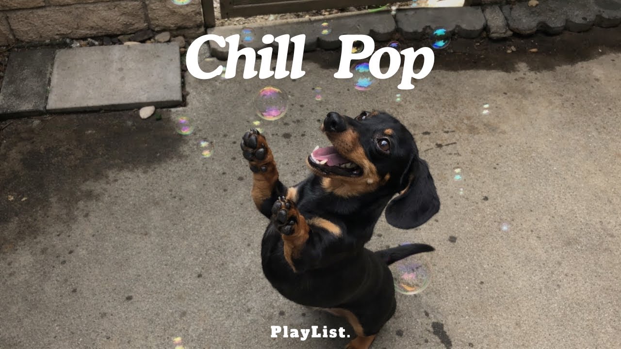 Happy Chill Pop 🫧 Cozy Lo-fi Mix (30 Min) — Feel-Good Beats for Work & Smiles