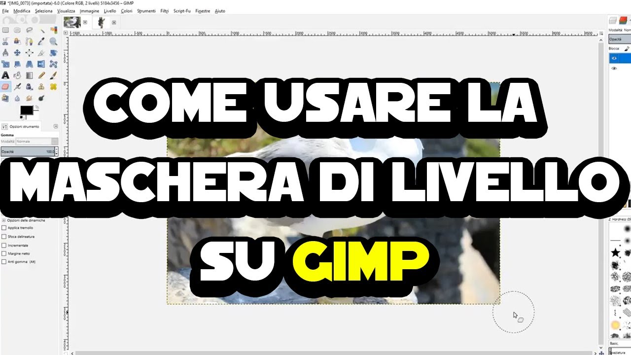 Come usare la maschera di livello su Gimp