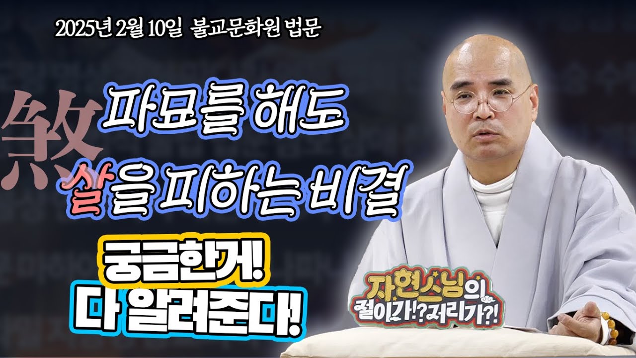 파묘 때 살을 피하고 복 받는 법? 견성하는 가장 빠른 방법은? 등등 - 서울불교문화원 법문 생중계 (절이가!? 2월 10일)