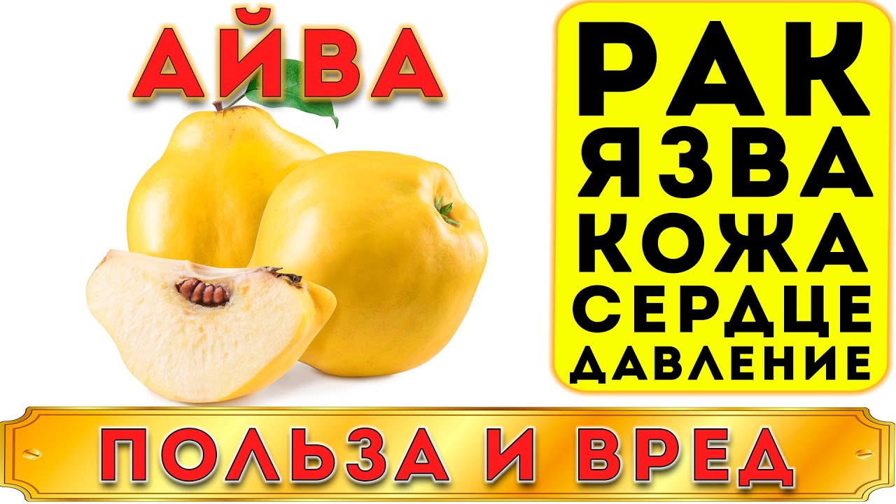 АЙВА - ПОЛЬЗА И ВРЕД (ЭТОТ ПЛОД 