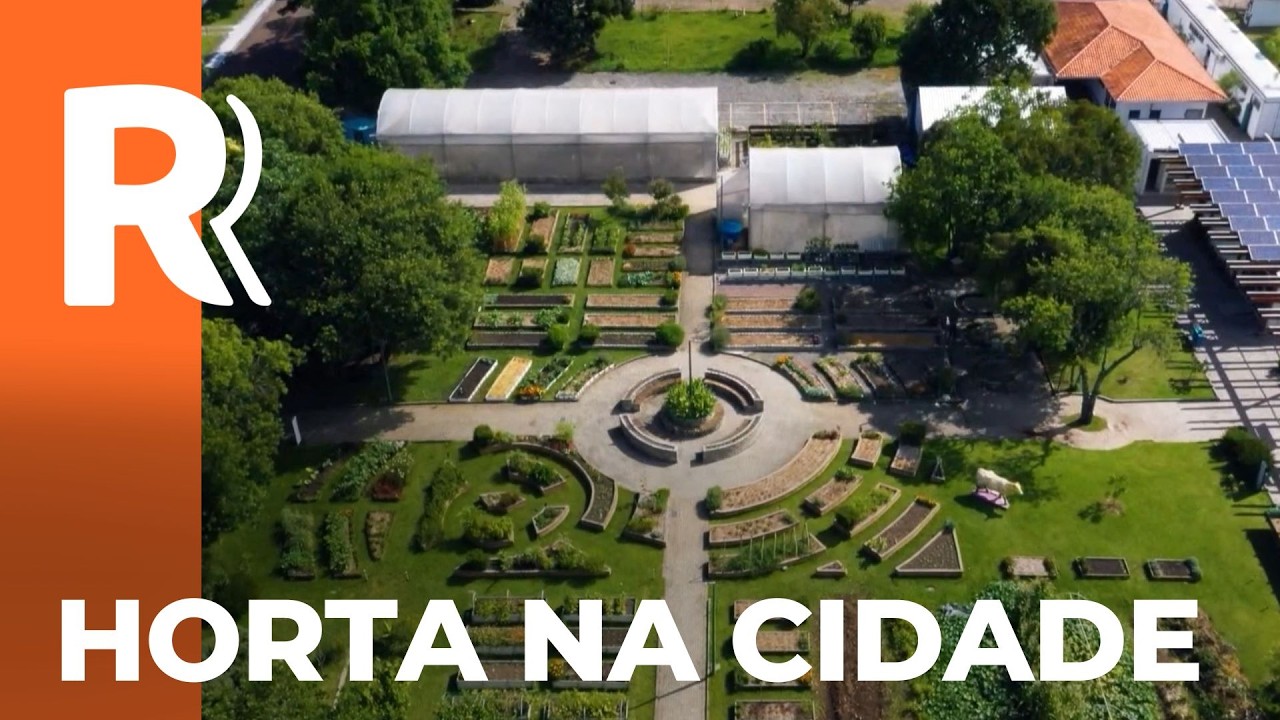 Hortas em pequenos espaços transformam rotina urbana em Curitiba