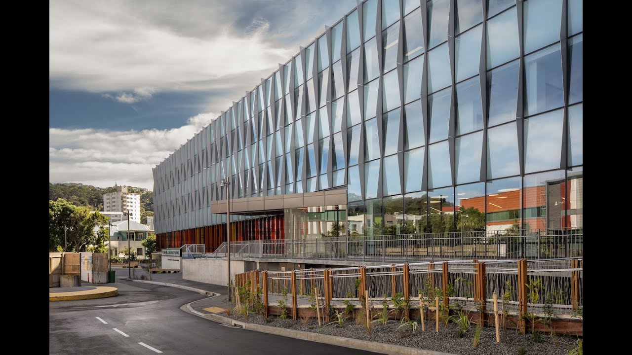 Take a look inside Te Wao Nui