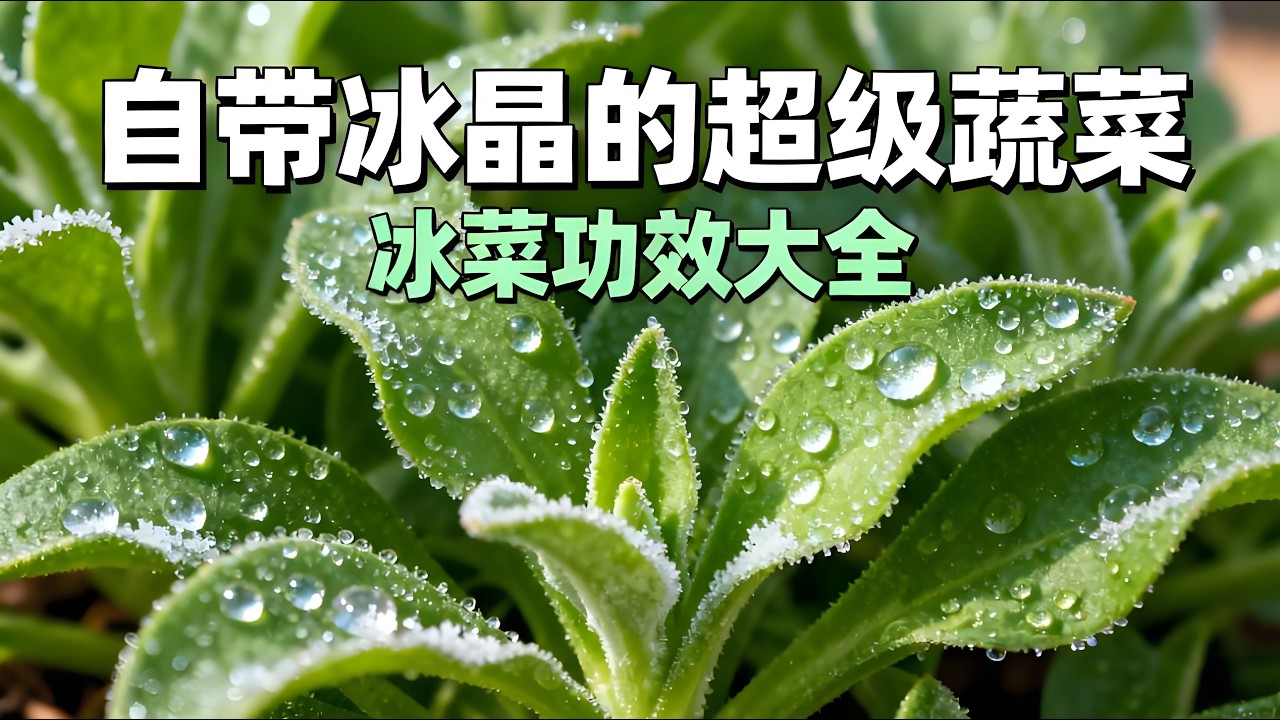 自帶冰晶的「超級蔬菜」冰菜功效大全！鉀含量7倍於香蕉，抗氧化抗炎護心血管，生吃做法+適合人群+禁忌，錯過虧大了！