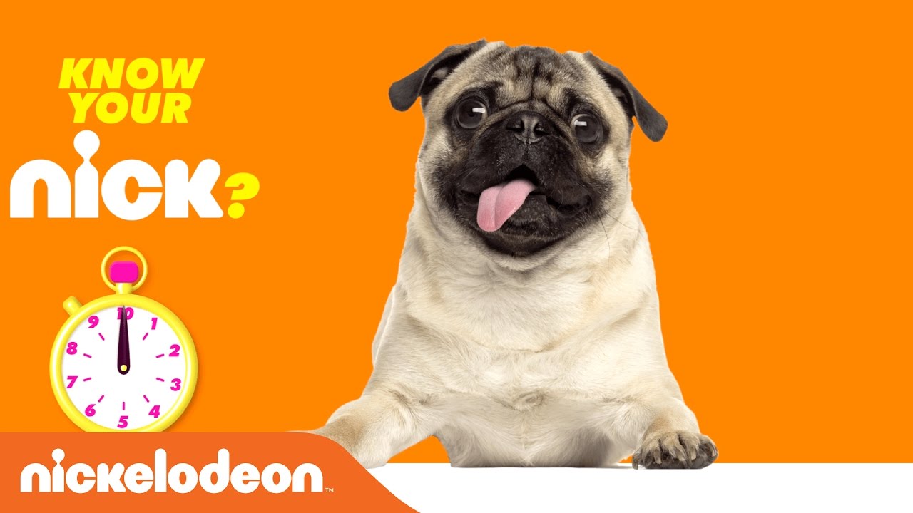Do You Know Your Nick Trivia? | Pet Edition