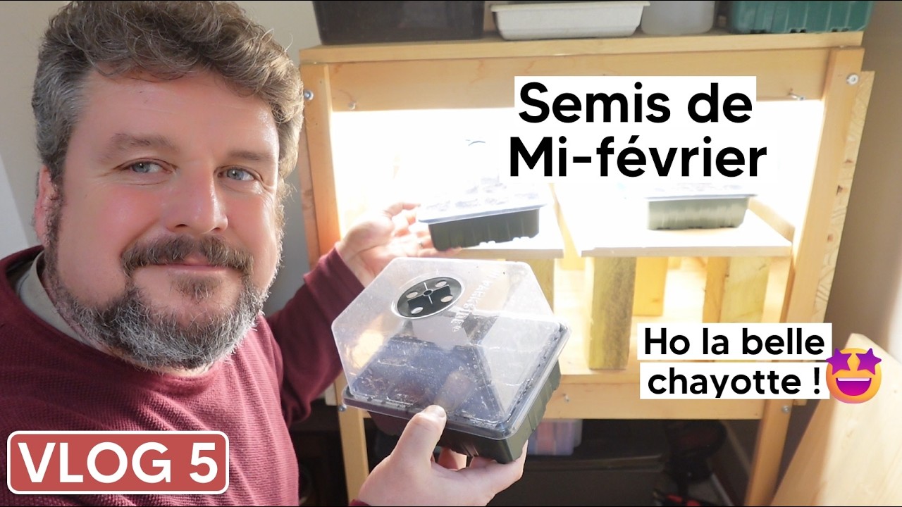 [VLOG février 5] Je lance 4 semis de mi-février