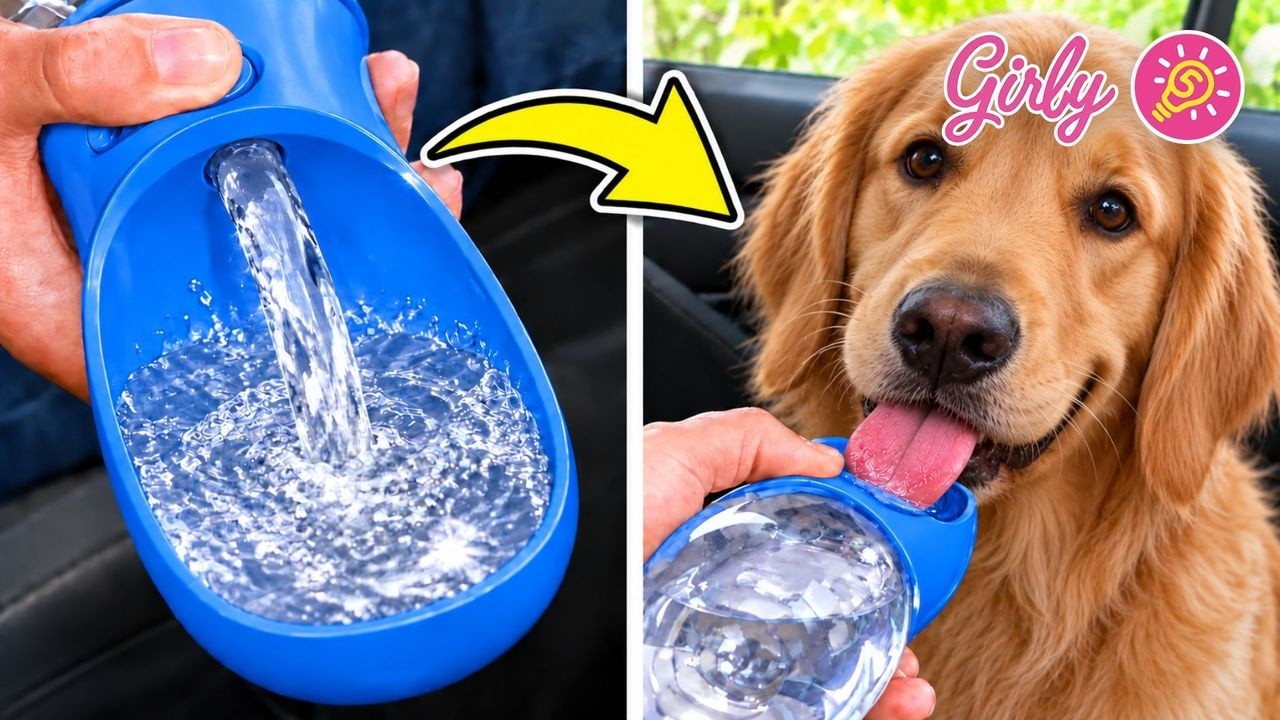 🐶 Dog Gadgets VS Cat Gadgets 🐱 Which Are Better? ⭐