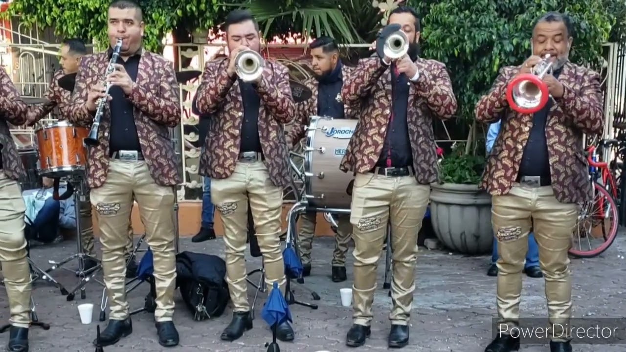 Banda Joroches La Grande - Dragón Ball Z /Brasil - En Santiago Zapotitlan 2025