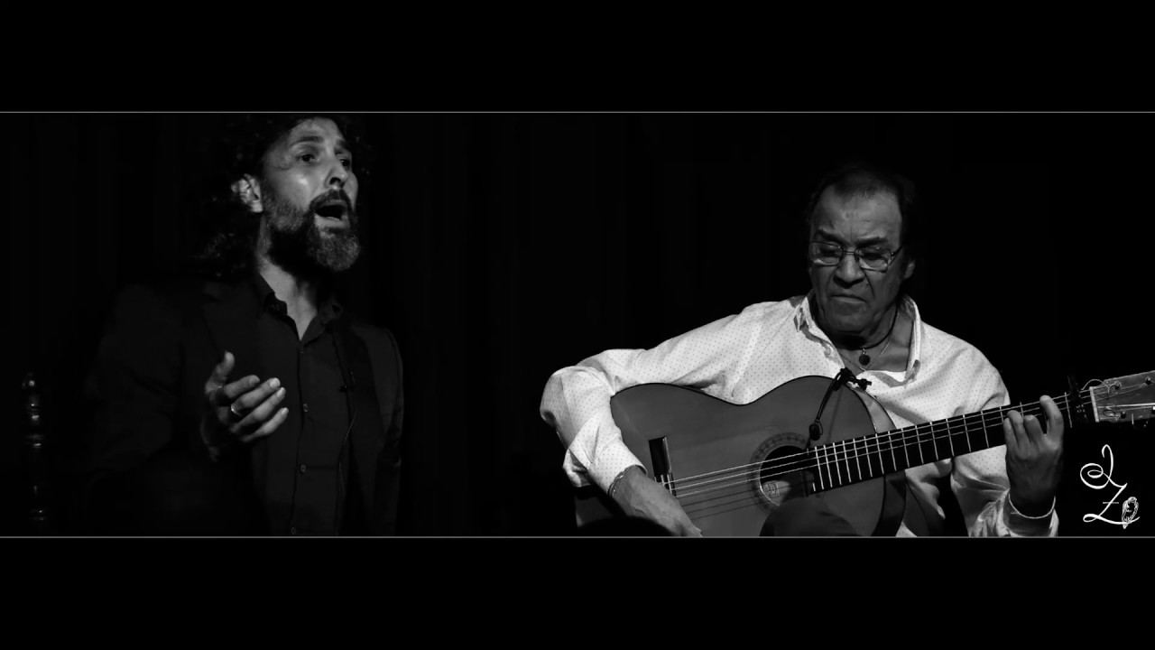 Arcángel por Soleá Apolá, Casa Patas 2016