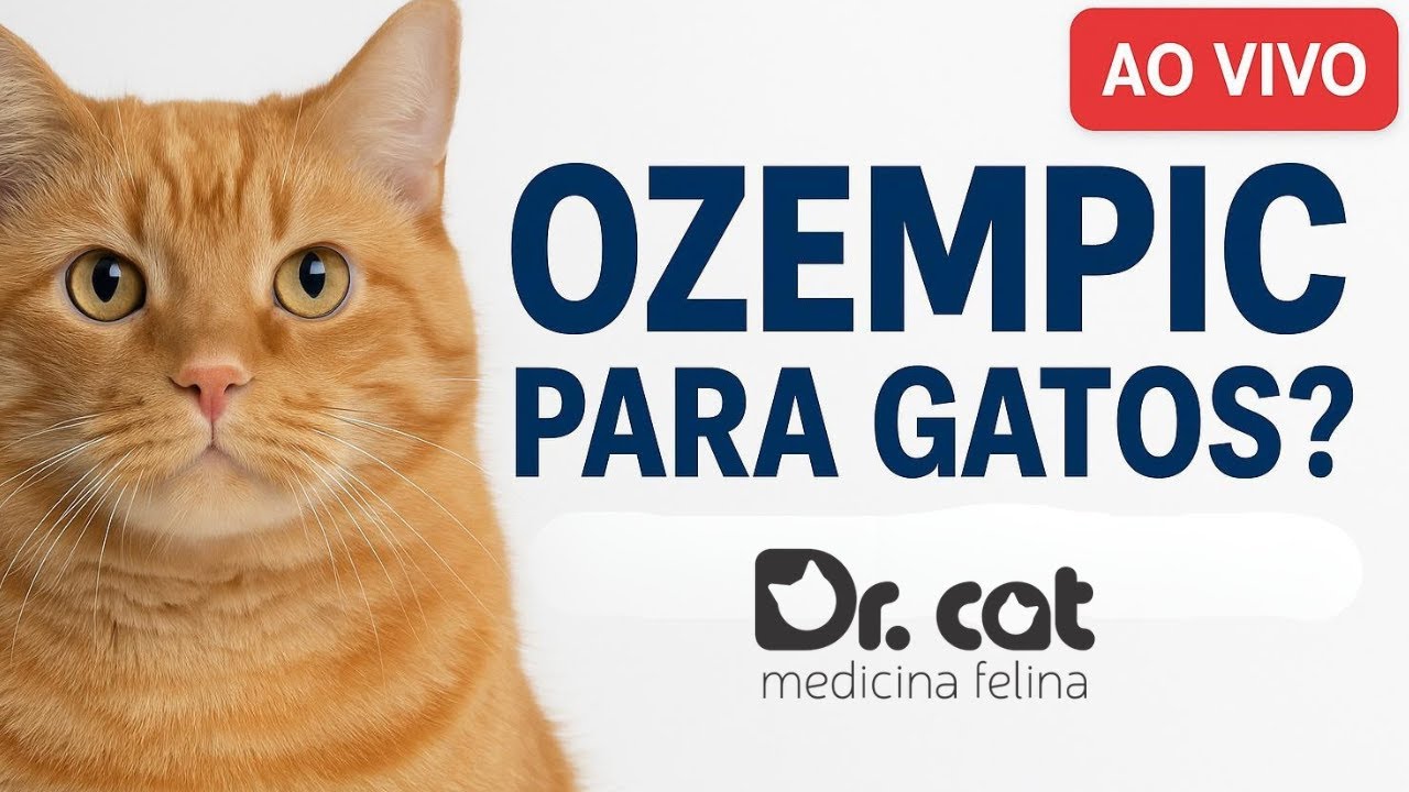 OZEMPIC para GATOS? GLP-1 Agonistas e o Futuro do Tratamento da Obesidade Felina