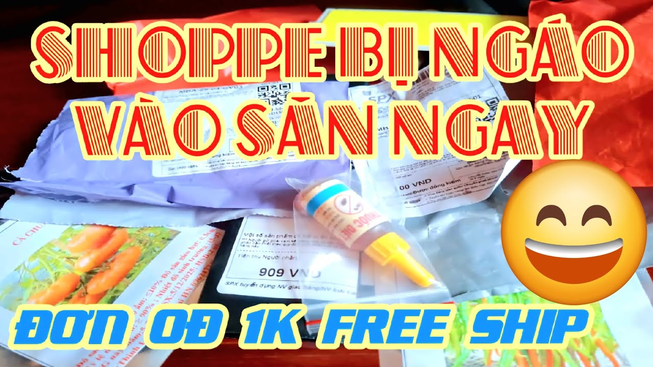 Review ĐƠN 0Đ 1K CHÊN SHOPPE