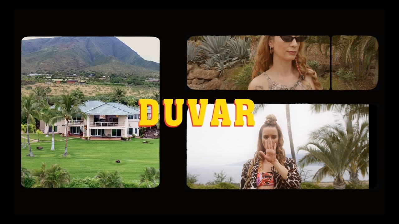 Hazi - Duvar