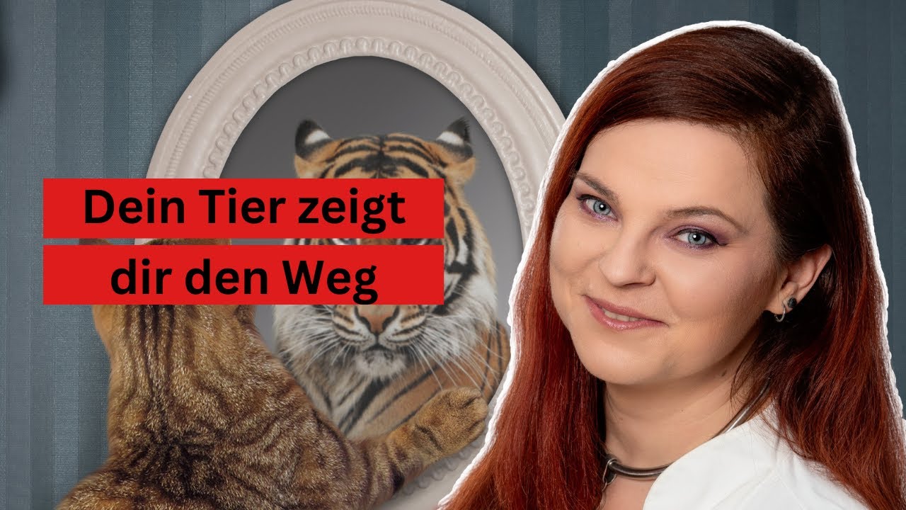 Tiere als Spiegel des Menschen & was sie uns damit sagen möchten