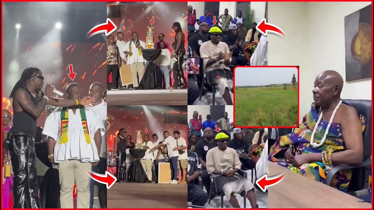 Volta Regions Minister Surprise Stonebwoy with cake on stage + Chief gifts land as birthday gift