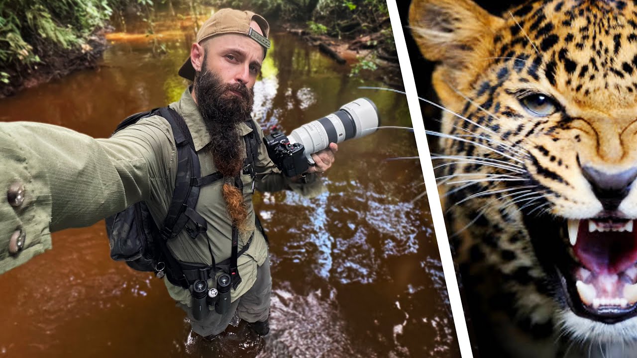 Caminando tras un jaguar