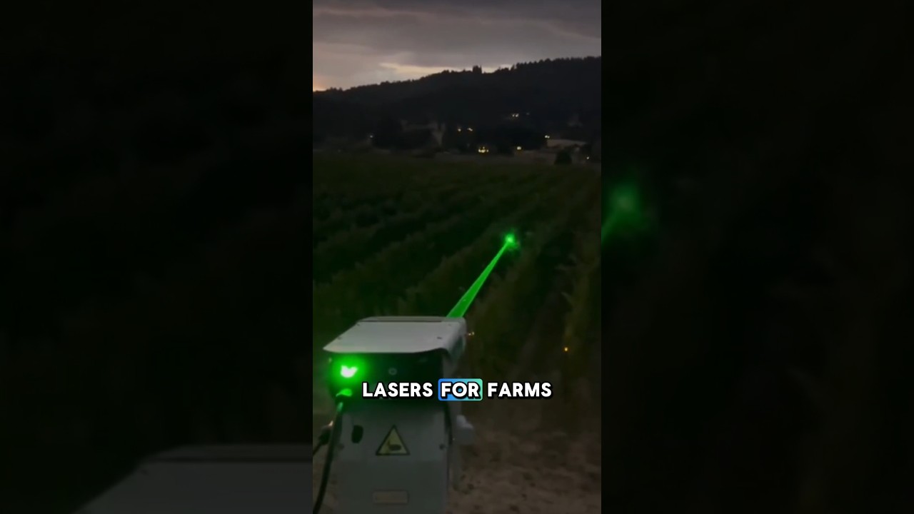 This Laser Scares Birds Away from Farms