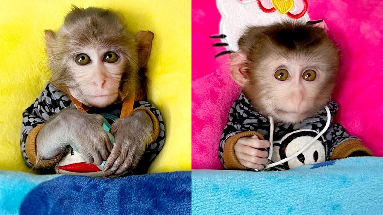 Mon и Кака счастливы, когда их папа заботится об их сне!