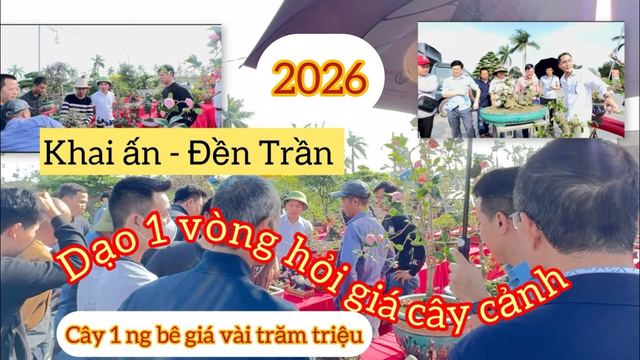 Tham khảo giá cây cảnh tại Đền trần Nam Định, giá từ 1 triệu đến vài trăm triệu. Ngày 12/1/2026