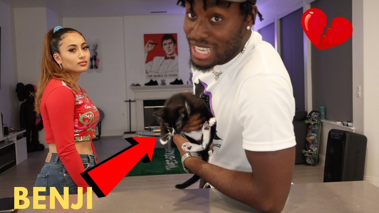 WHAT HAPPENED TO BENJI & P2 (BENJI THE CAT)