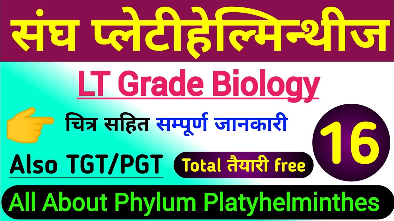 phylum platyhelminthes | lt grade biology online classes | tgt pgt biology | प्लेटीहेल्मिन्थीज संघ