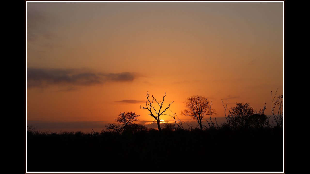 Erediens, Sondag 1 Februarie 2026 vanuit die Geref. Kerk Klerksdorp.
