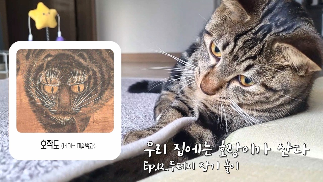 고양이 모리에게서 호랑이가 보인다! Ep.12_두더지 잡기놀이 #고양이 #공원냥모리