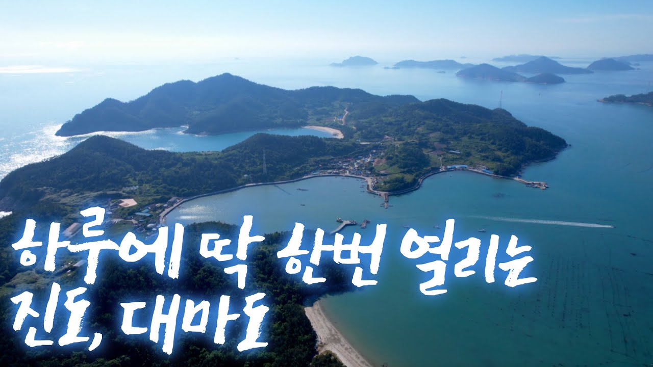 옛날에 목포에서 대마도까지 갈려면 10시간씩 걸렸어요 그런 아무것도 없는 고향 섬으로 와 톳 농사 시작 했습니다 #진도 #대마도 #어영차바다야