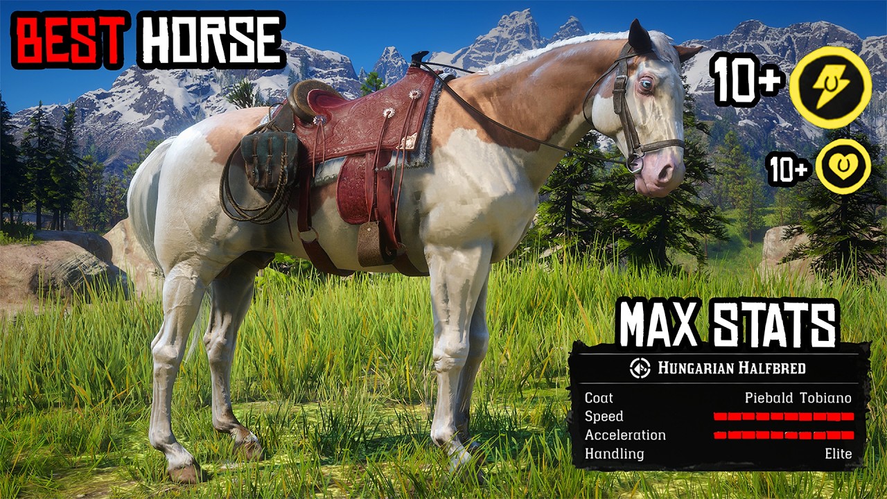 Best Horse for Each Playstyle in RDR2