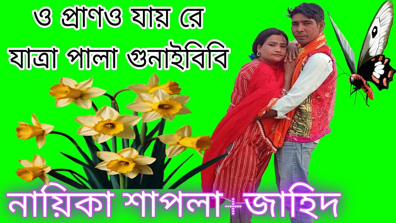 জাহিদ ও শাপলার দুর্দান্ত অভিনয় | বাউল যাত্রা গান/গ্রাম গন্জের যাত্রা পালা গুনাইবিবি/jatra gaan/
