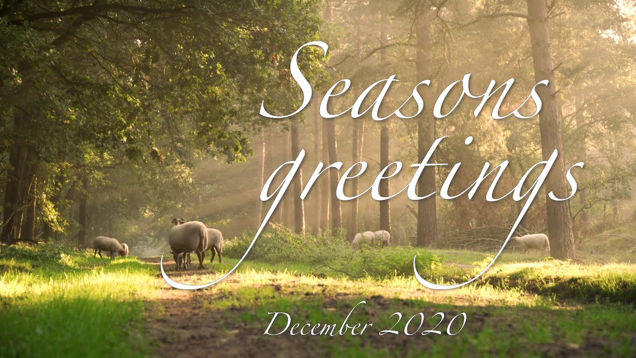 J.S.Bach: Sheep may safely graze – with Lyrics on closed caption – flute, piano, marimba, spinet