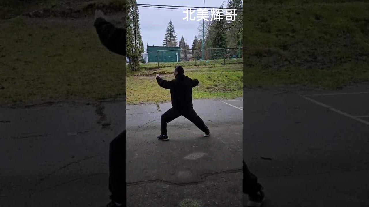 陈式太极拳18式（背向）