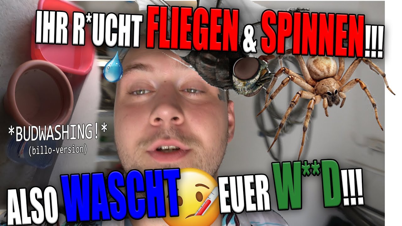 BL&Uuml;TEN WASCHEN! sonst INSEKT IM RACHEN?!?! (Budwashing Tutorial) @DanjaGrows @danjadgf #420