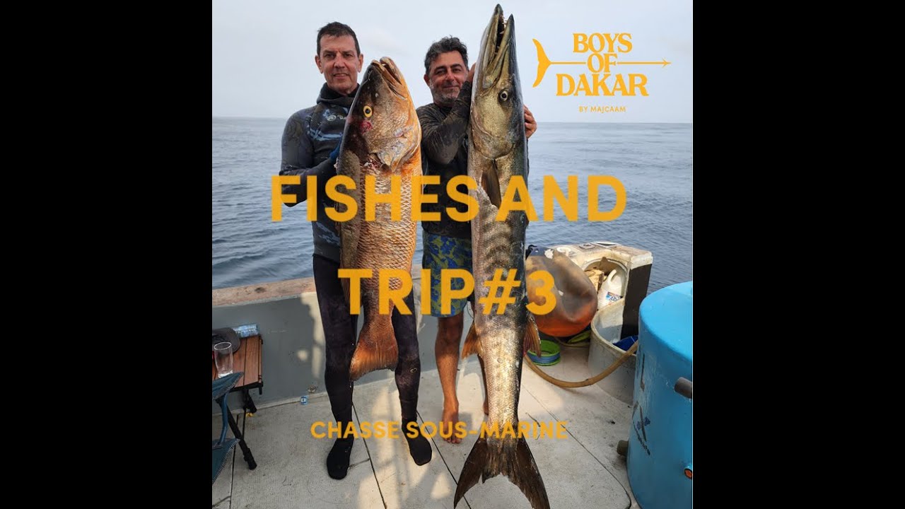 🥈CHASSE SOUS MARINE - FISHES ET TRIP#3 - MAJCAAM - BOYS OF DAKAR - Ep.281