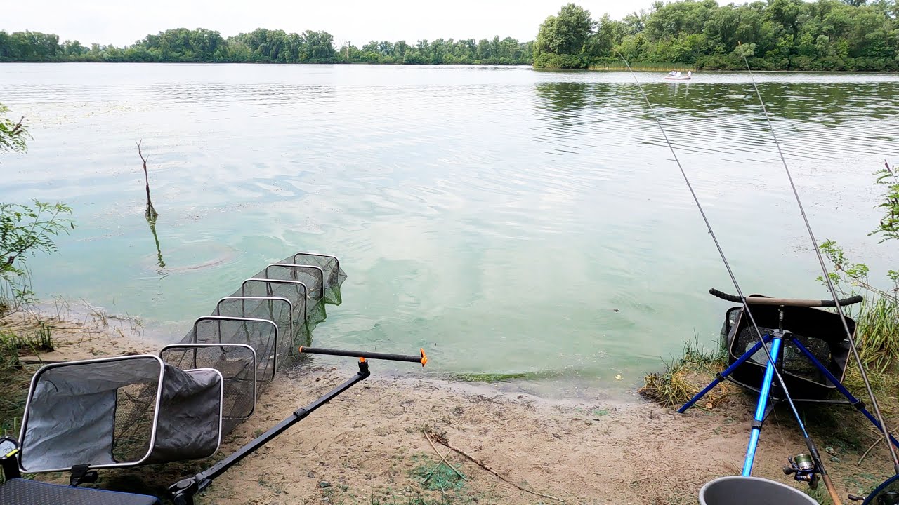 Фідер в червні та ще й на новому місці.  Вперше на Десенці. Відпочинок не тільки для рибалок.
