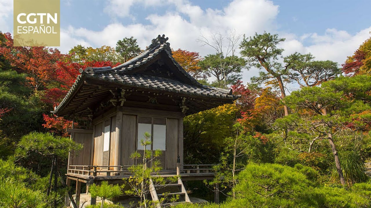 Un peque&ntilde;o oasis que recuerda a la cultura japonesa