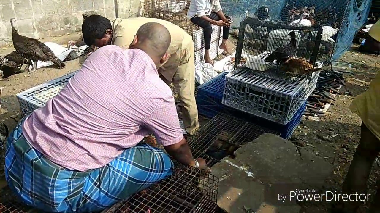 பல்லாவரம் சந்தை ( Pallavaram Friday Market )