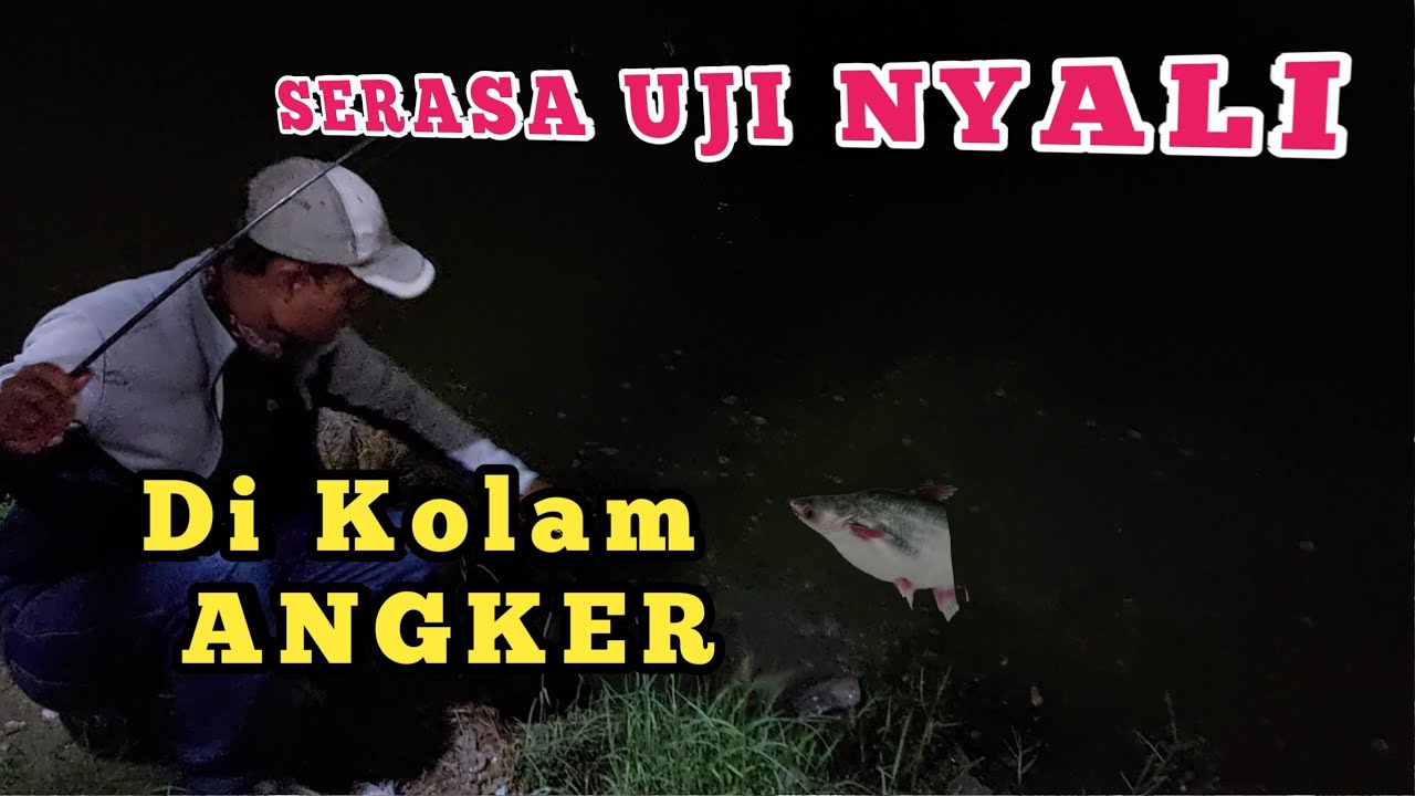 Edisi Mancing Patin Malam hari di kolam Angker