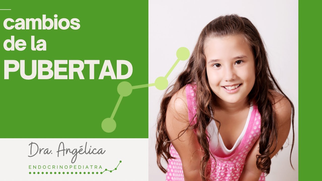 ¿Cuáles son los cambios en la pubertad?