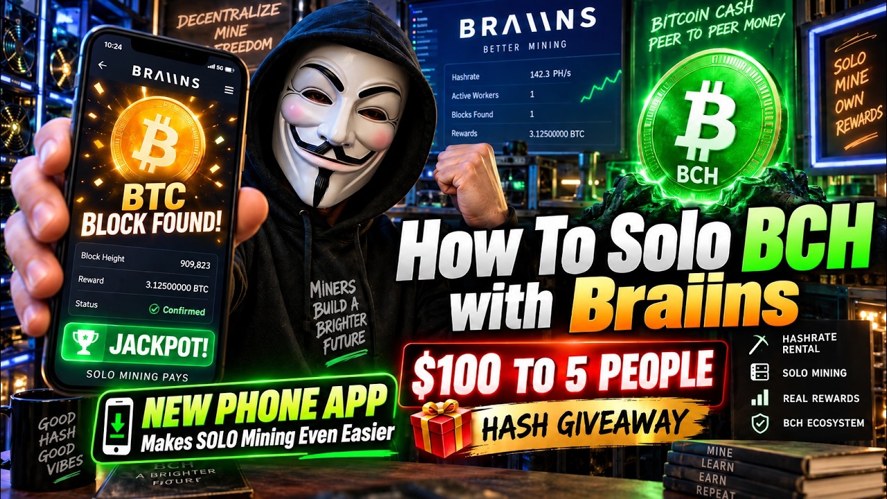 braiinssolo