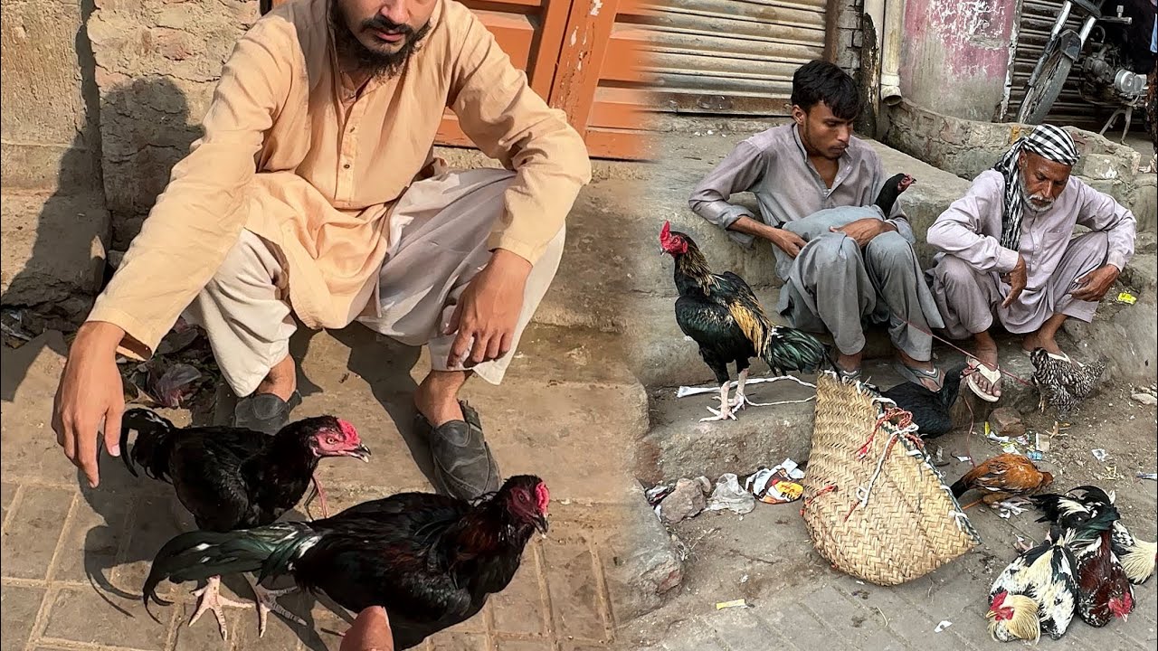 Ajj New Mandi Gaiya 😱 