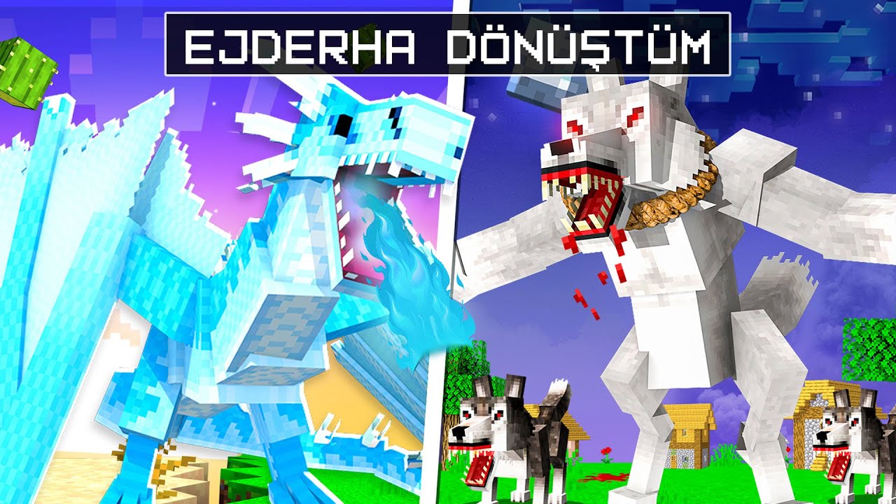 EJDERHA OLARAK Minecraft OYNADIM