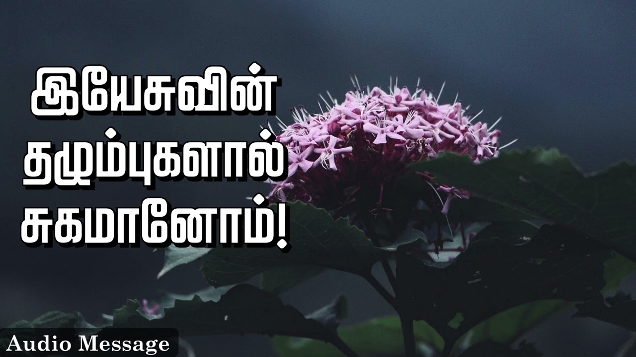 ஆவிக்குரிய சிந்தனை | இயேசுவின் தழும்புகளால் சுகமானோம்! | Spiritual Thoughts |