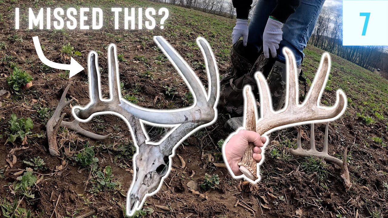 I FOUND A BUCK IN MY VIDEO?! // Shed Hunting 2024 E7