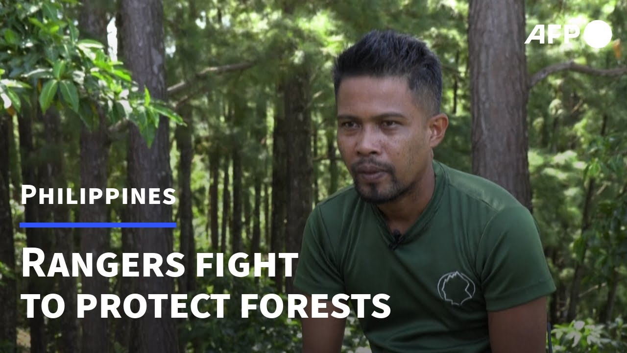 Rangers in the Philippines put their lives at risk to protect forests | AFP