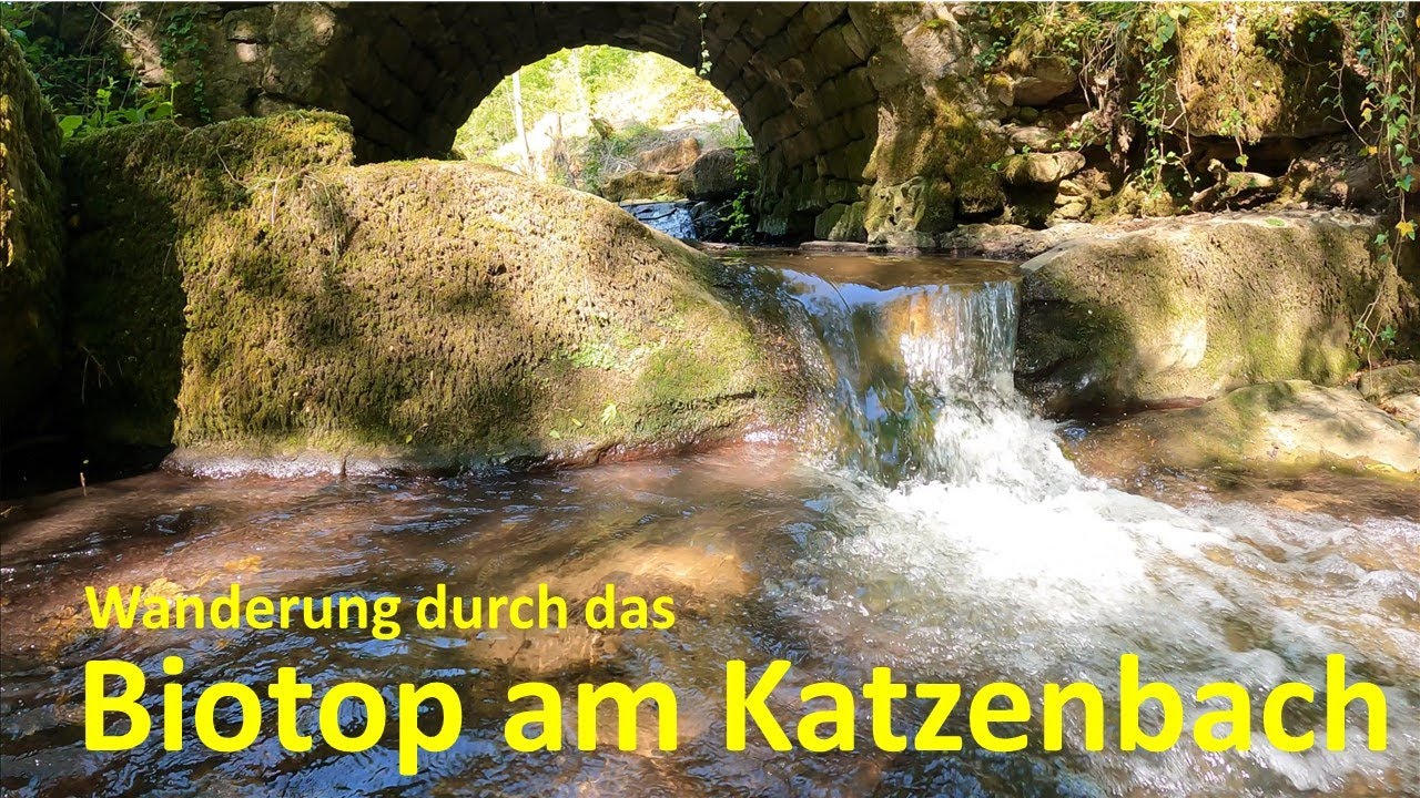 Katzenbach bei Reichenbach/Fils - gemütliche Wanderung durch das Biotop am Katzenbach