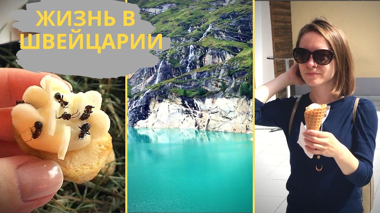 Жизнь в Швейцарии как она есть. Влог из Швейцарии