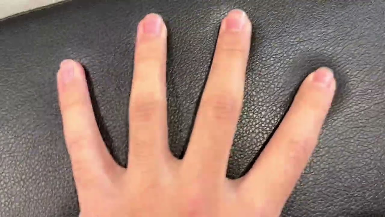 Adjustable Weight Bench for Home Gym, 7 Backrests Foldable Workout Bench for Dumbbell Exercise 