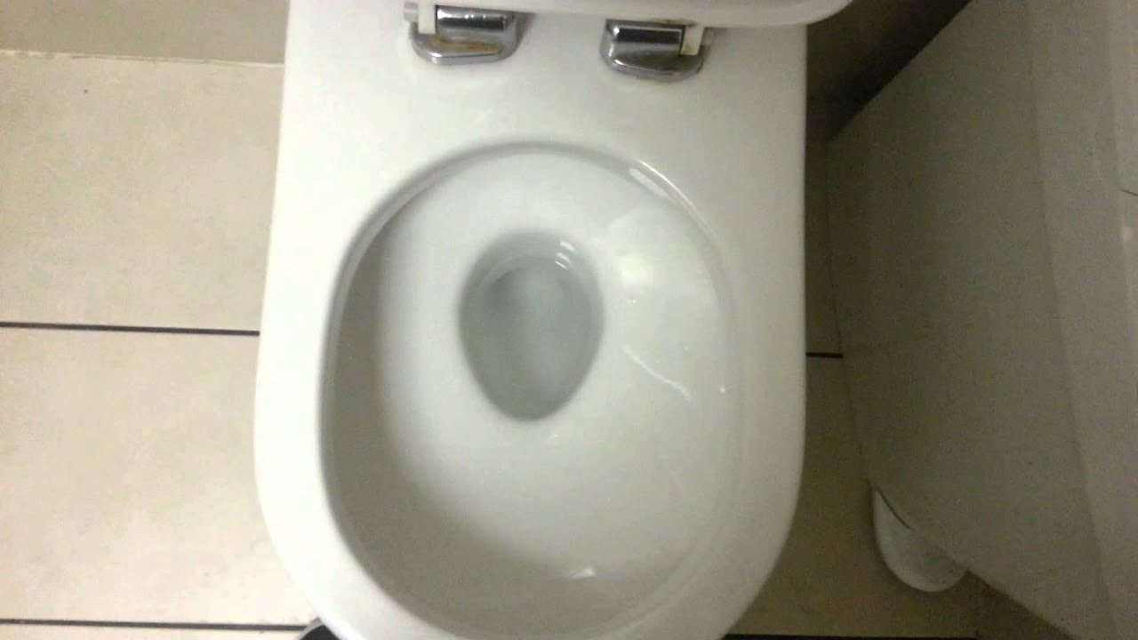 Disabled toilet in Mcdonalds.mp4