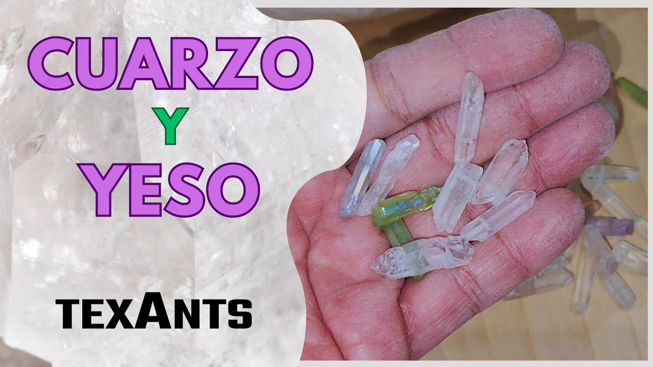 🚩ASOMBROSO Hormiguero de YESO odontologico TIPO 4 (Incrustaciones decorativas) FACIL y BARATO